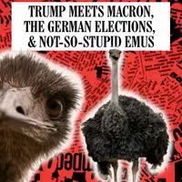 In The News This Week (the Have I Got News For You podcast) artwork