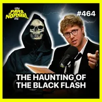 This Paranormal Life artwork