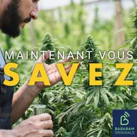 Maintenant, vous savez artwork