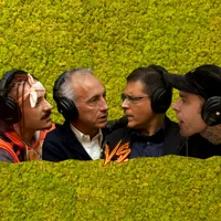 Muschio Selvaggio artwork