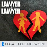 Lawyer 2 Lawyer artwork