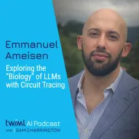 The TWIML AI Podcast (formerly This Week in Machine Learning & Artificial Intelligence) artwork