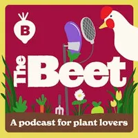 The Beet: A Podcast For Plant Lovers artwork