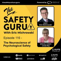 The Safety Guru artwork