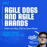 The Agile Brand with Greg Kihlström®: Expert Mode Marketing Technology, AI, & CX artwork