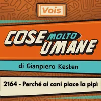 Cose Molto Umane di Gianpiero Kesten artwork