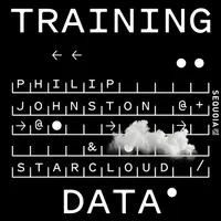Training Data artwork