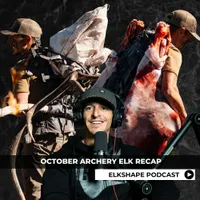 ElkShape artwork
