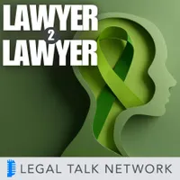 Lawyer 2 Lawyer artwork