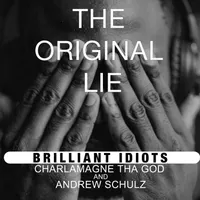 The Brilliant Idiots artwork