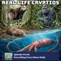 Everything Everywhere Daily: History, Science, Geography & More artwork