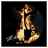 The Amelia Project artwork