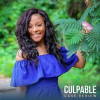 Culpable artwork