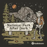 National Park After Dark artwork