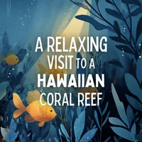 Get Sleepy: Sleep meditation and stories artwork