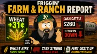 Burnin’ Daylight artwork