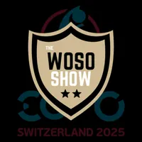 The Women's Soccer Show artwork