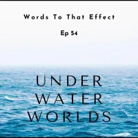 Words To That Effect artwork