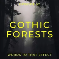 Words To That Effect artwork