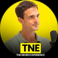 The Neuro Experience artwork