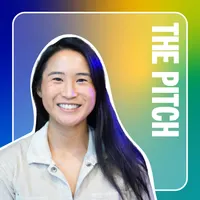 The Pitch artwork
