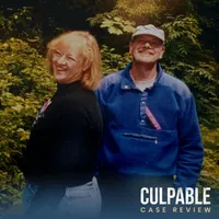 Culpable artwork