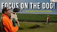 Gun Dog It Yourself artwork