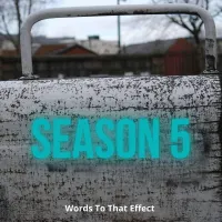 Words To That Effect artwork