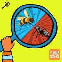 Tumble Science Podcast for Kids artwork