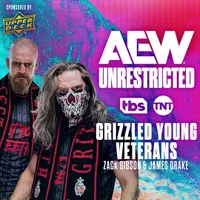 AEW Unrestricted artwork