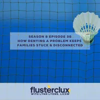 Flusterclux With Lynn Lyons: For Parents Who Worry artwork