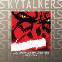 Skytalkers artwork