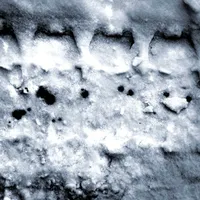 Invisible Choir artwork