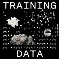 Training Data artwork