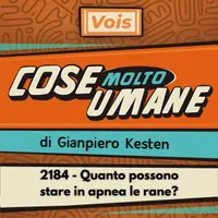 Cose Molto Umane di Gianpiero Kesten artwork