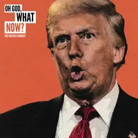 Oh God, What Now? artwork
