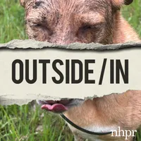 Outside/In artwork