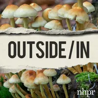 Outside/In artwork