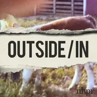 Outside/In artwork