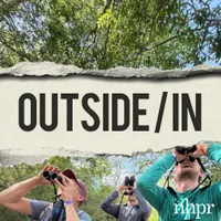 Outside/In artwork