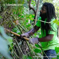 Climate One artwork