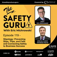 The Safety Guru artwork