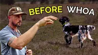 Gun Dog It Yourself artwork