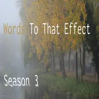 Words To That Effect artwork