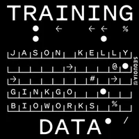 Training Data artwork