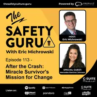 The Safety Guru artwork