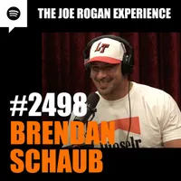 The Joe Rogan Experience artwork