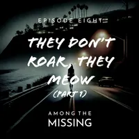Among The Missing artwork