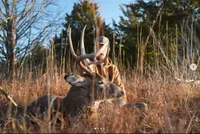 Truth From The Stand Deer Hunting Podcast artwork