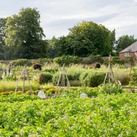 Gardening with the RHS artwork
